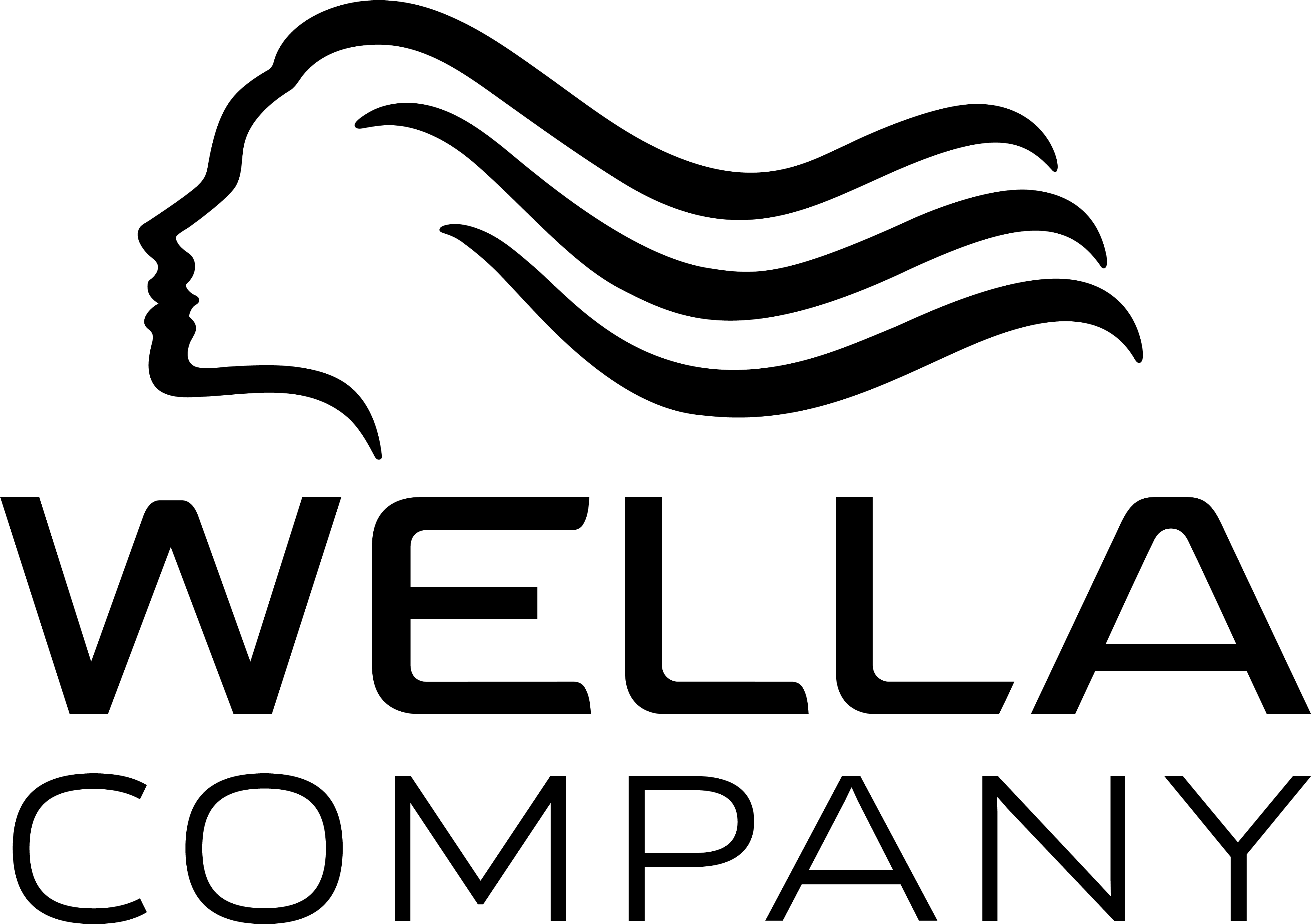 Wella Company Logo_Black